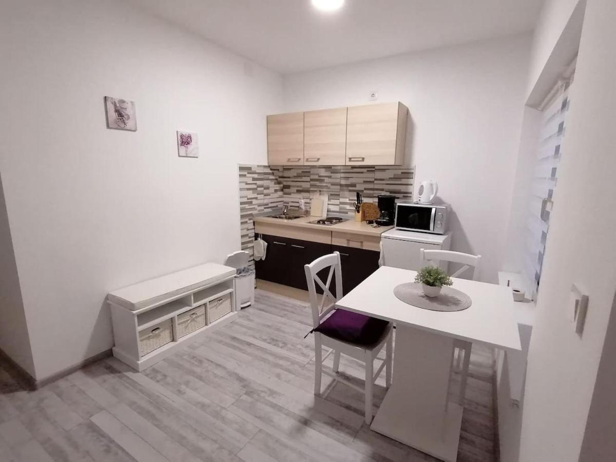 Apartman Lidija Dinjiska Экстерьер фото